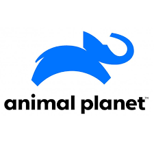 Lịch phát sóng kênh Animal Planet